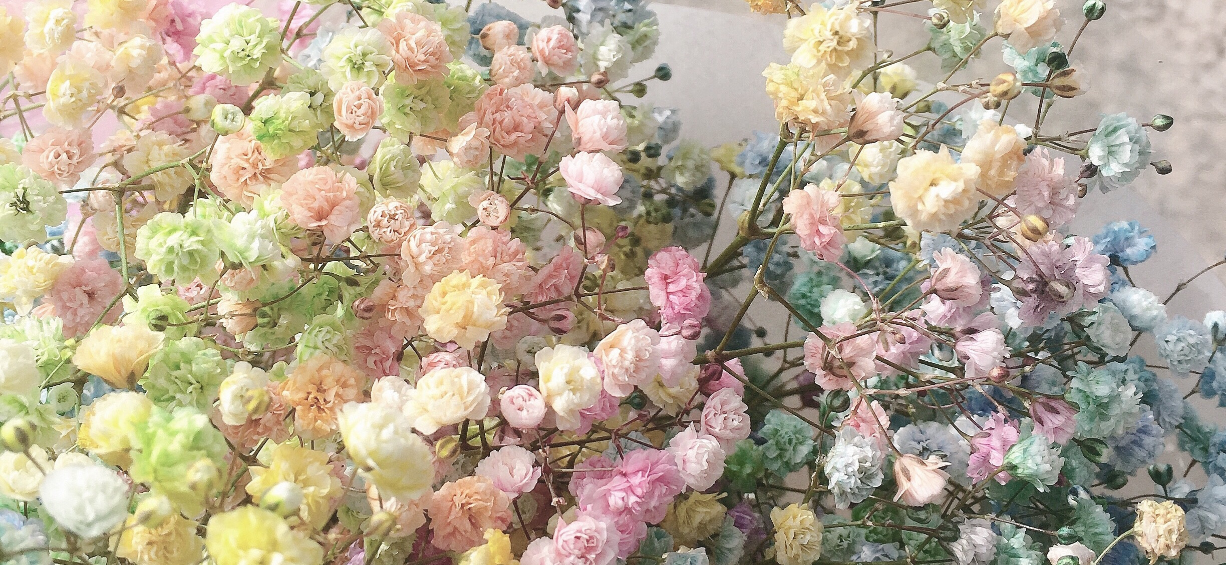 艾瑞 的個人封面