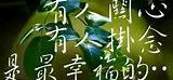 輕鬆ʕ•ᴥ•ʔ丸料理 的個人封面