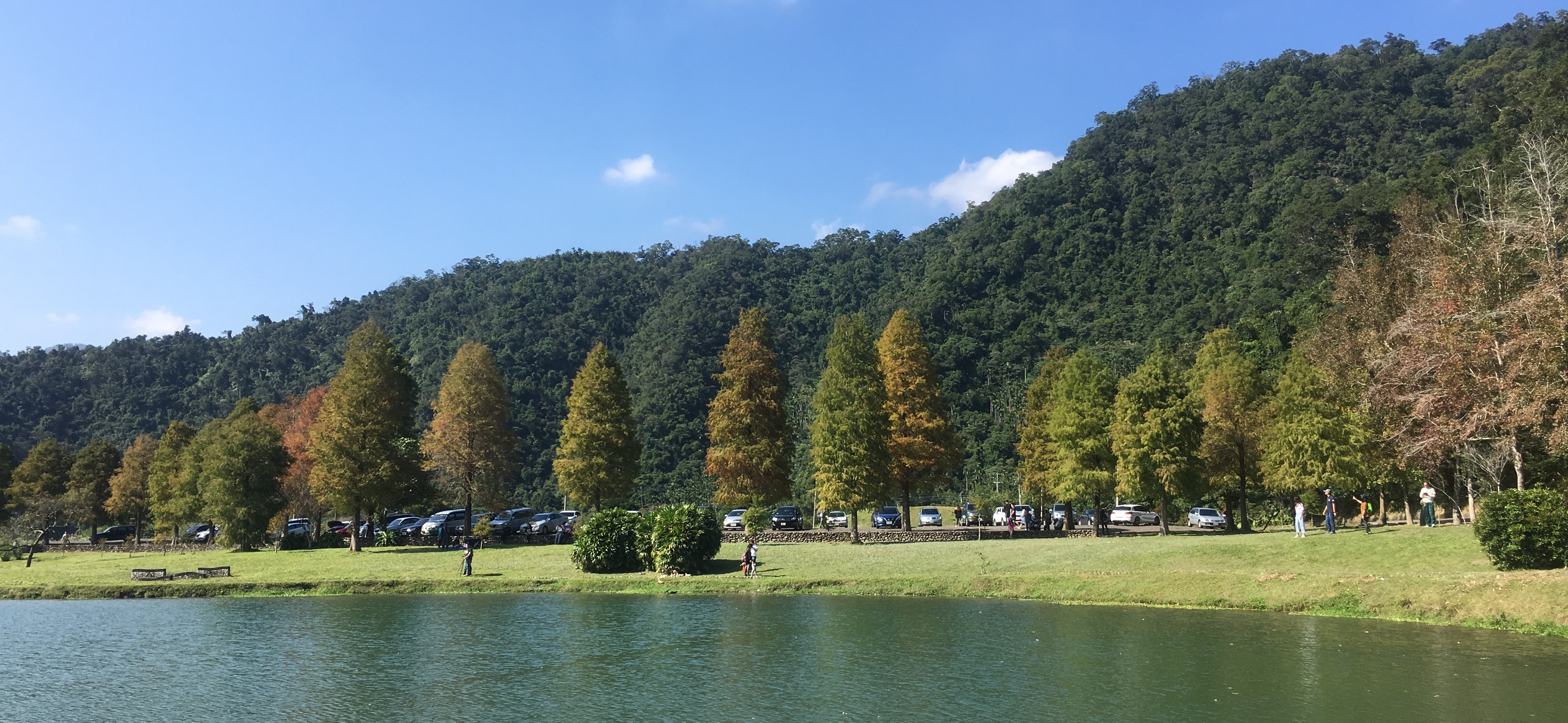 柴崎夏芽 的個人封面