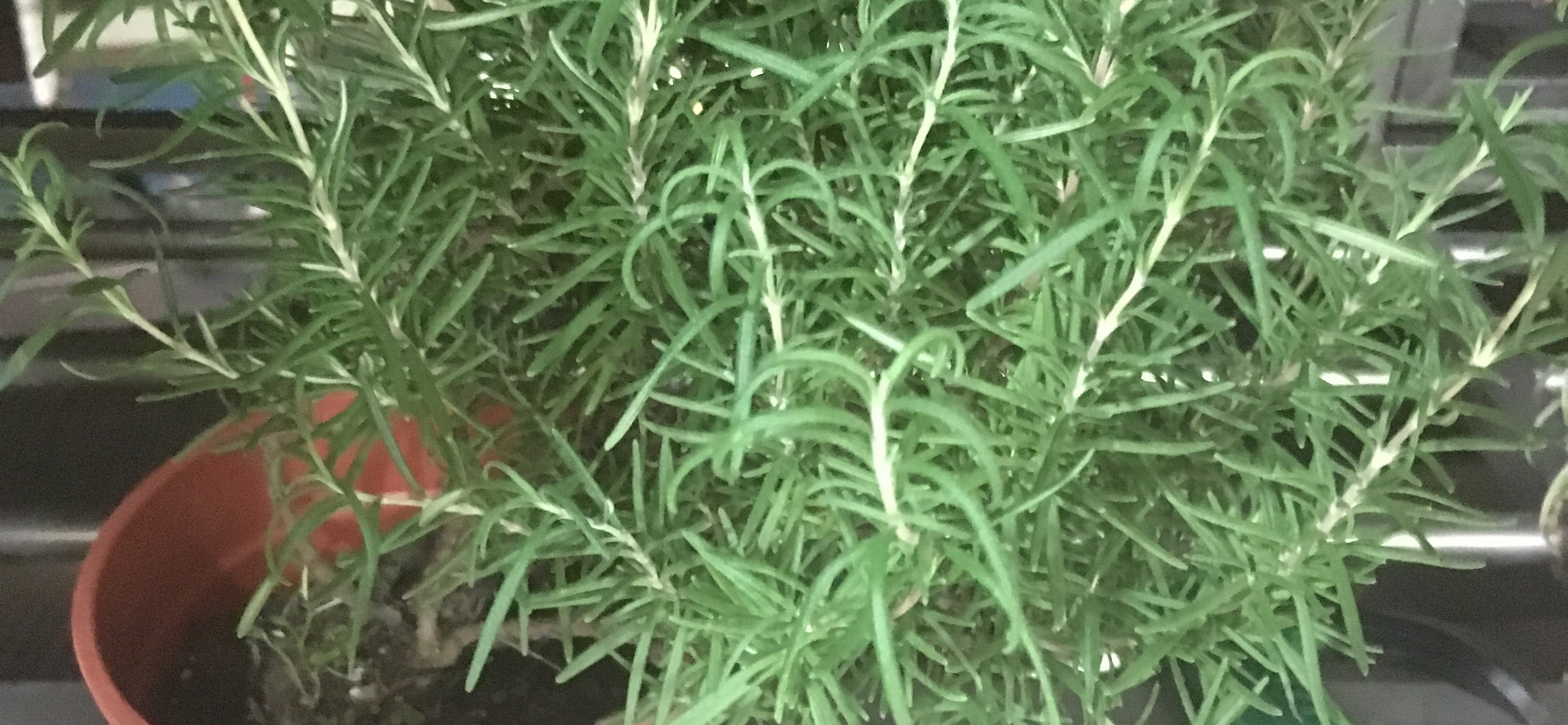 安德魯 的個人封面
