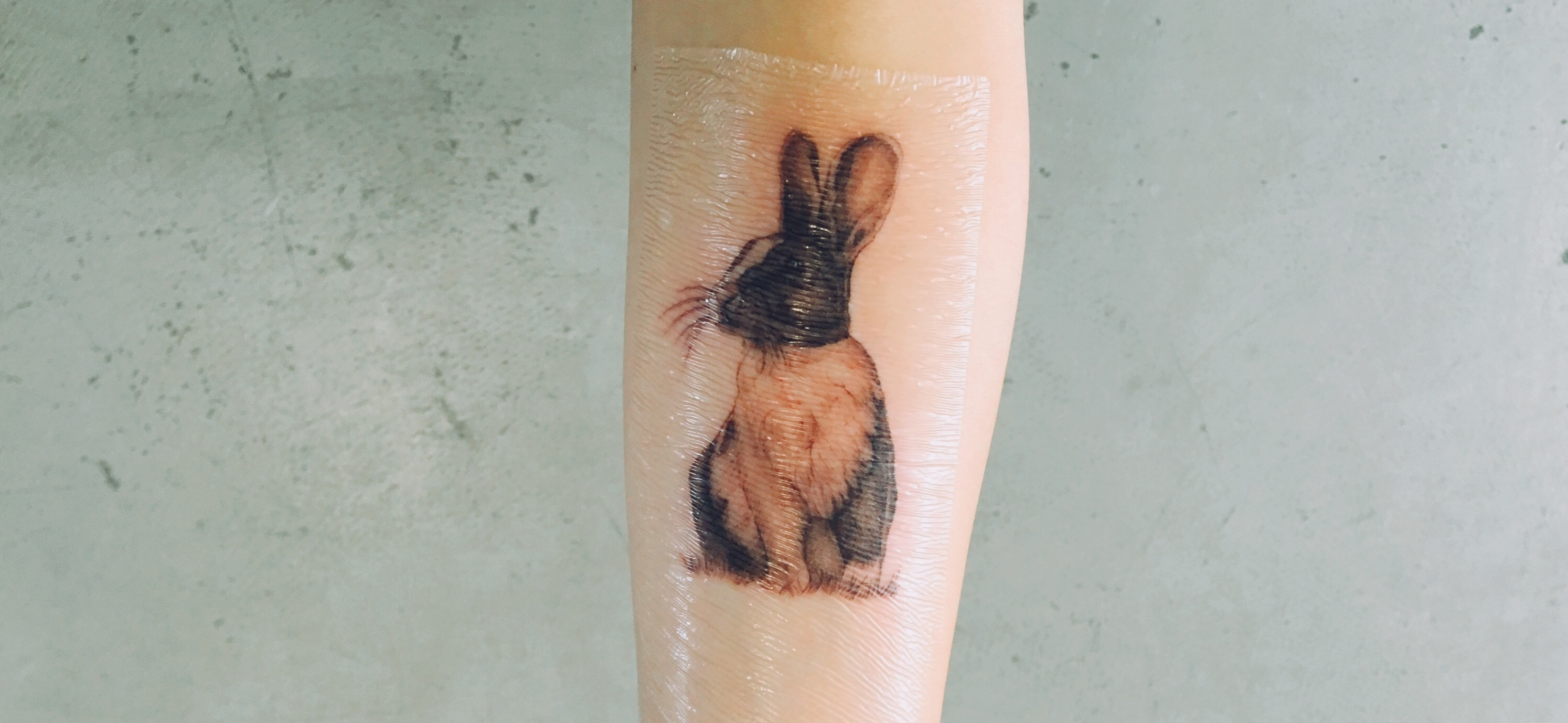 wyy  的個人封面
