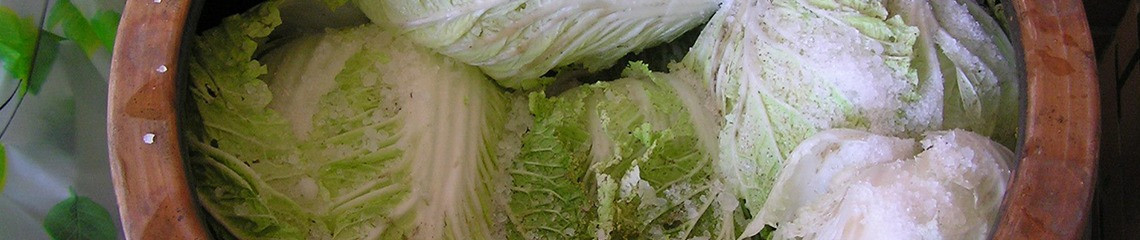 餓貓食記 的個人封面