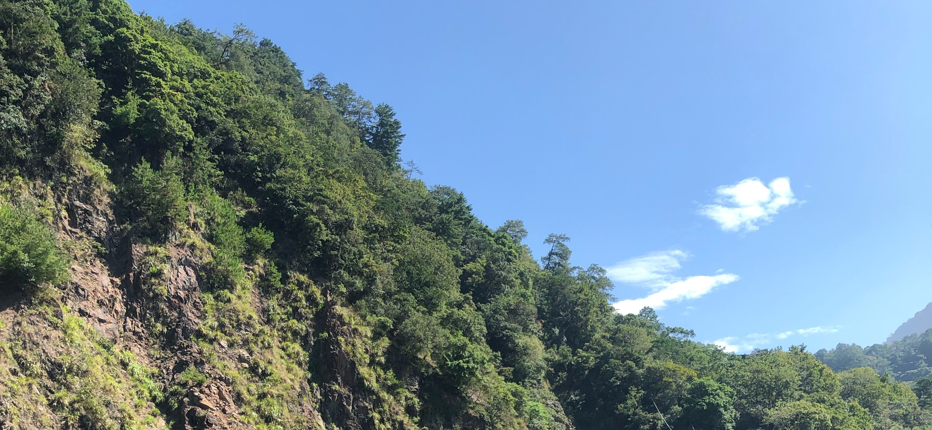 Han 的廚藝空間ʕ •ᴥ•ʔ 的個人封面