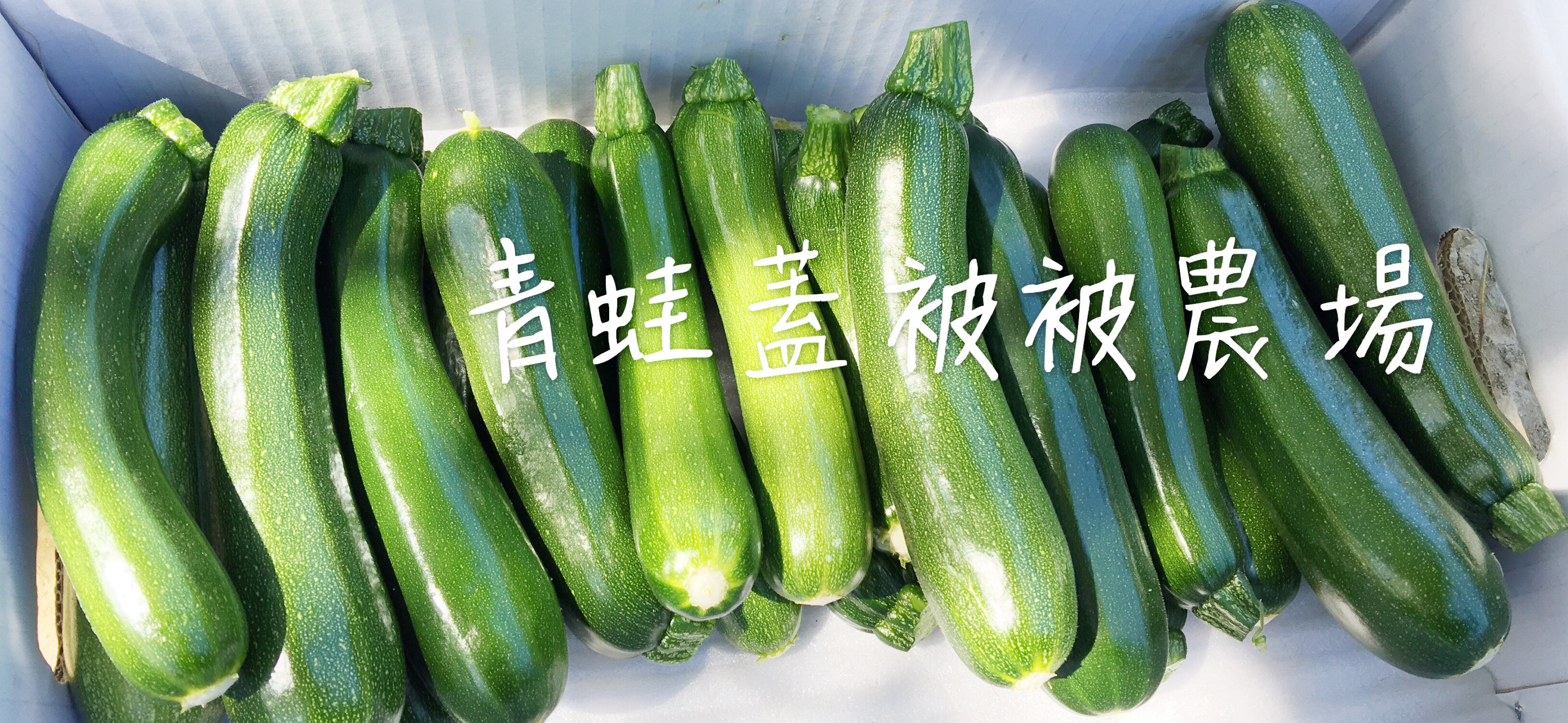 🐸青蛙蓋被被農場🐸 的個人封面