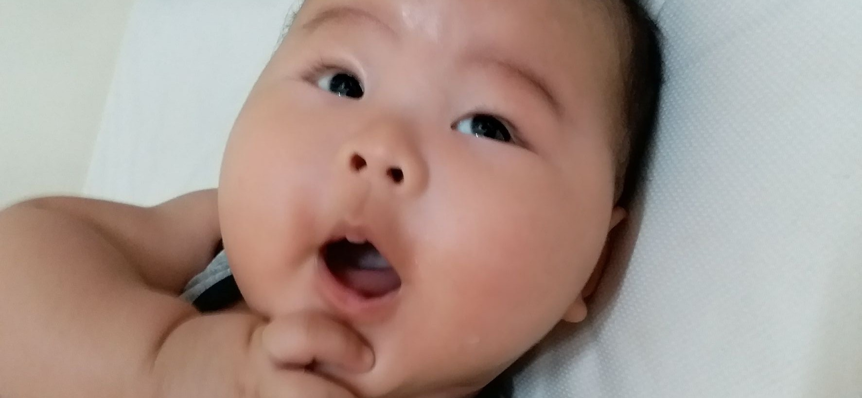紐蛋媽媽 的個人封面