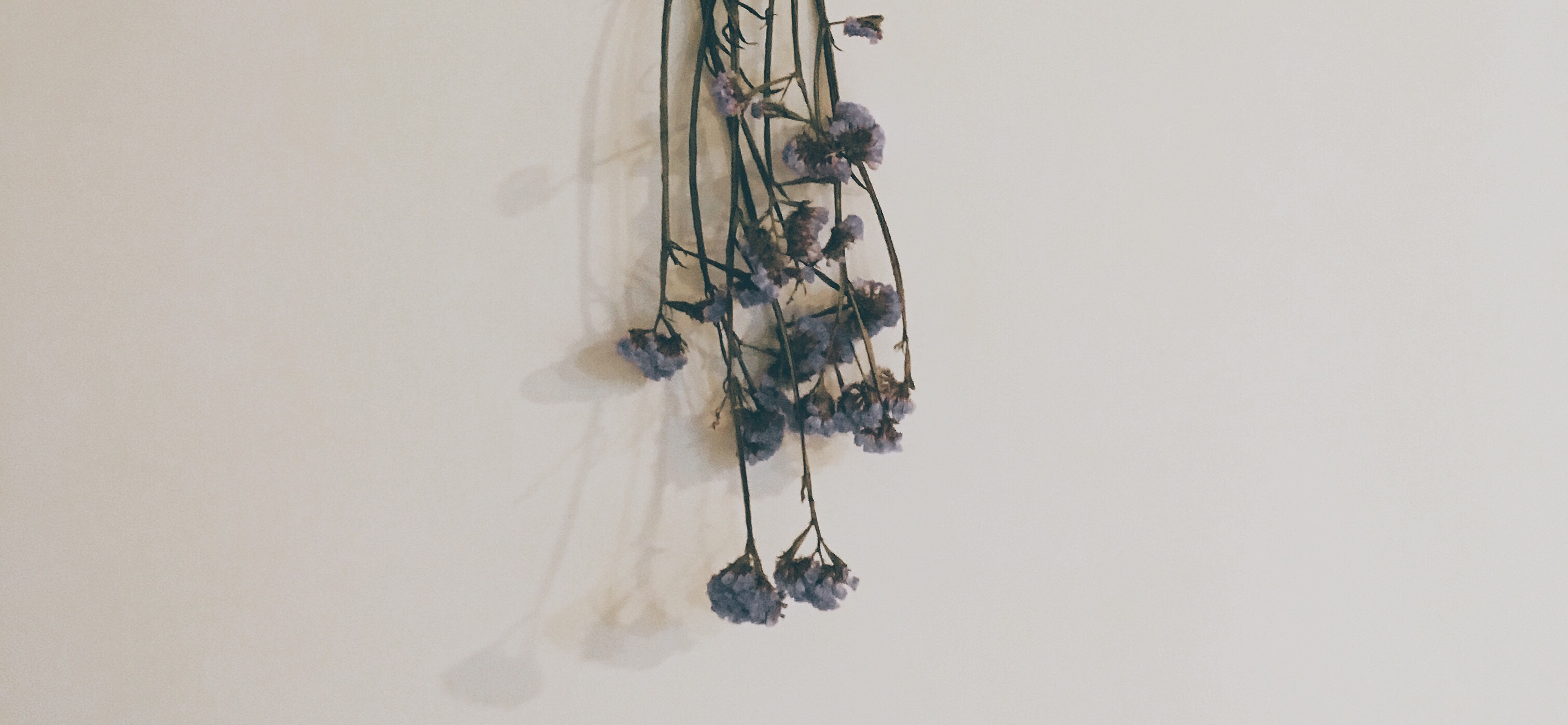 Kin_清冰箱 的個人封面