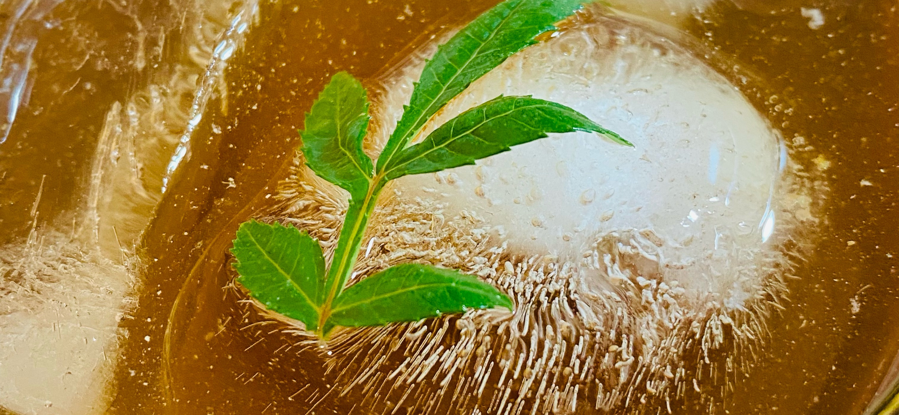 CaCa的懂吃懂喝N分鐘快速料理 的個人封面