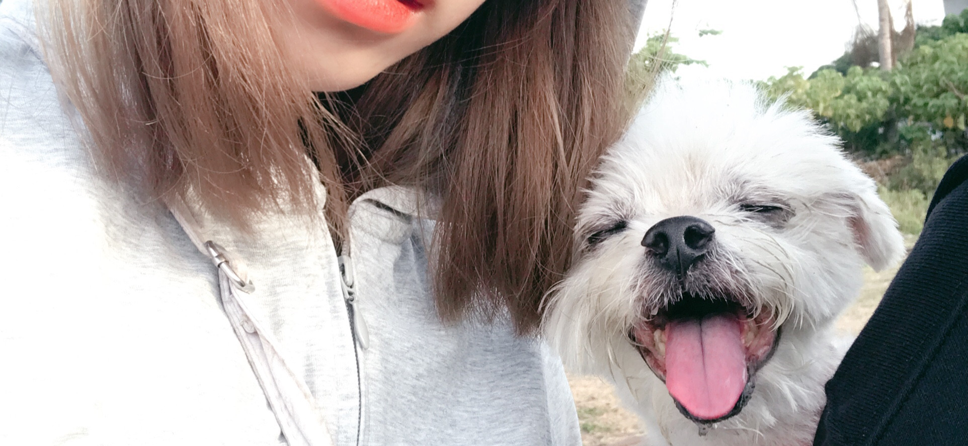 Phoebe ❤️  的個人封面