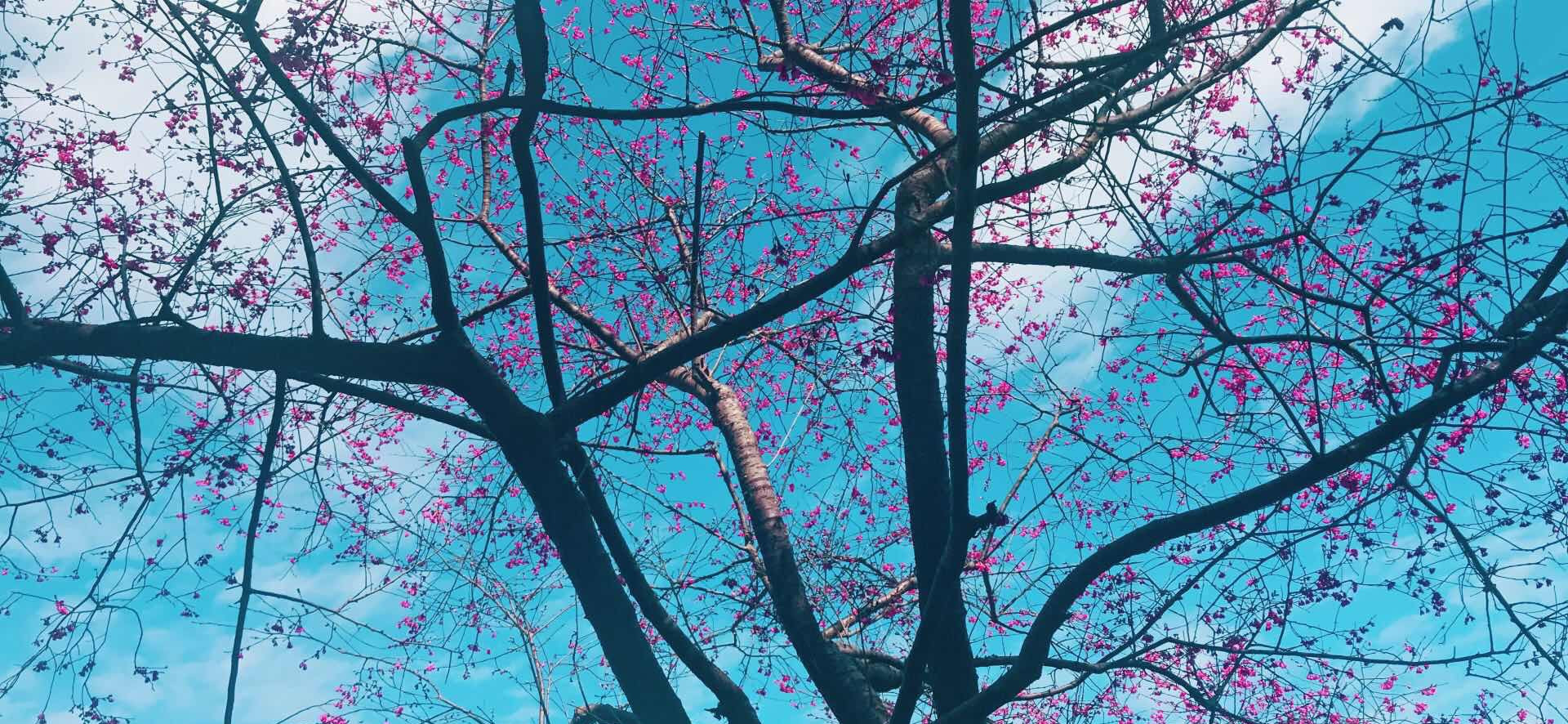 謝東東 的個人封面