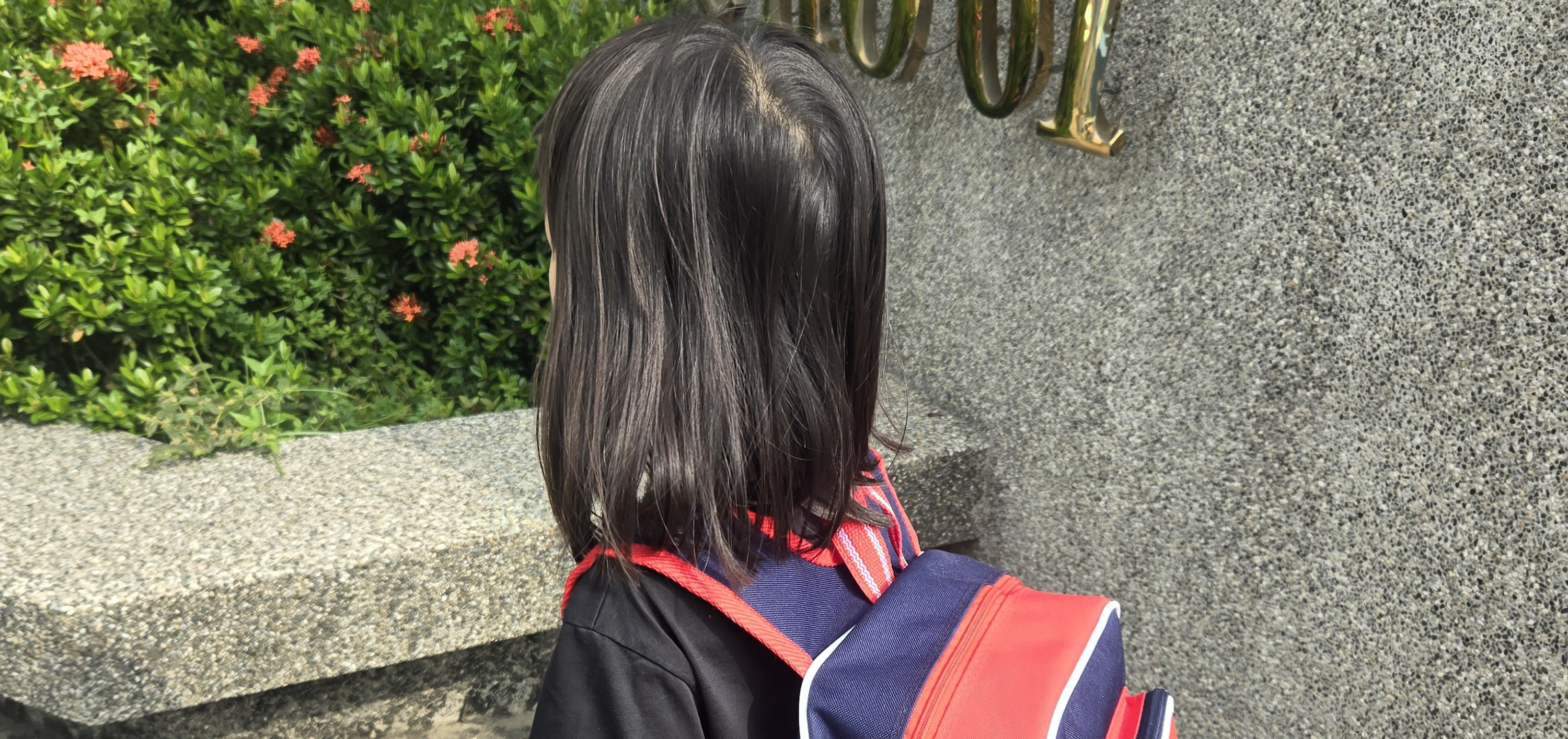 淳 的個人封面