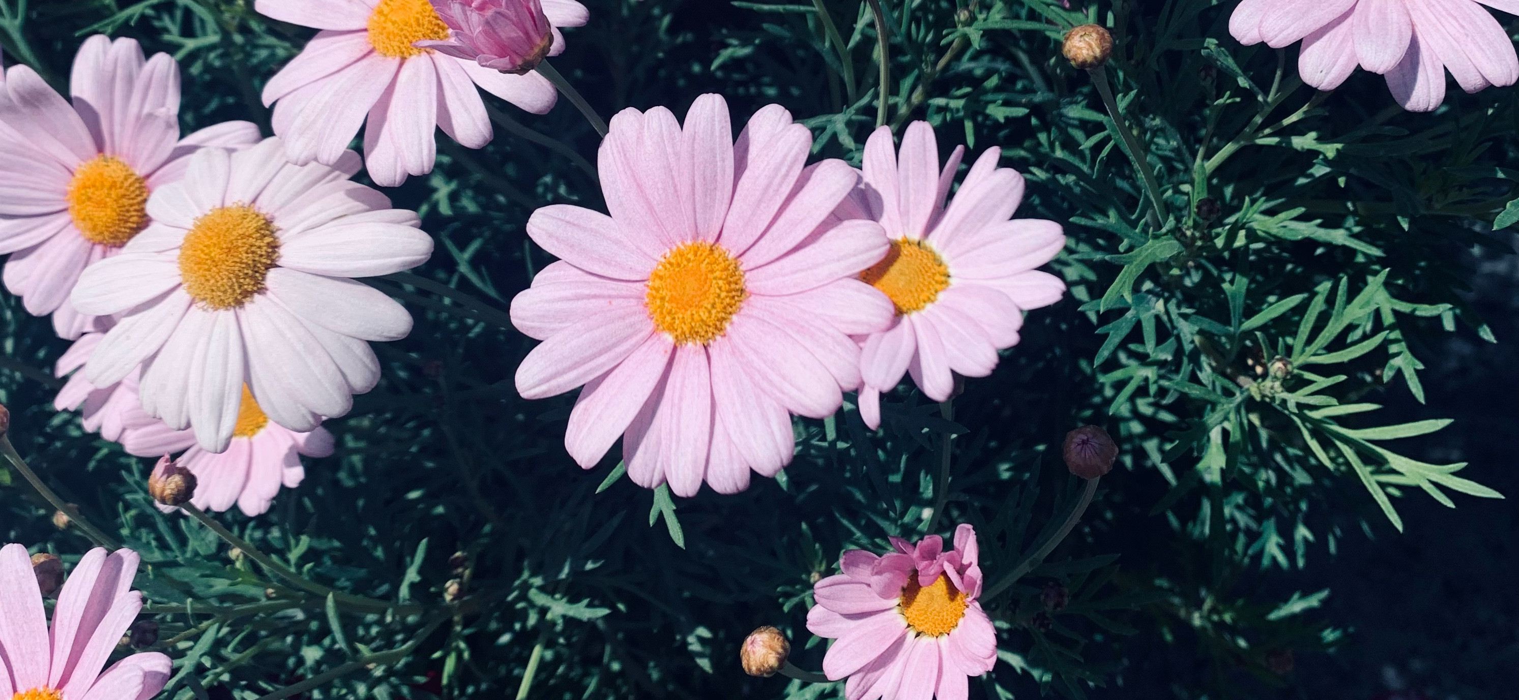 比。。比 的個人封面