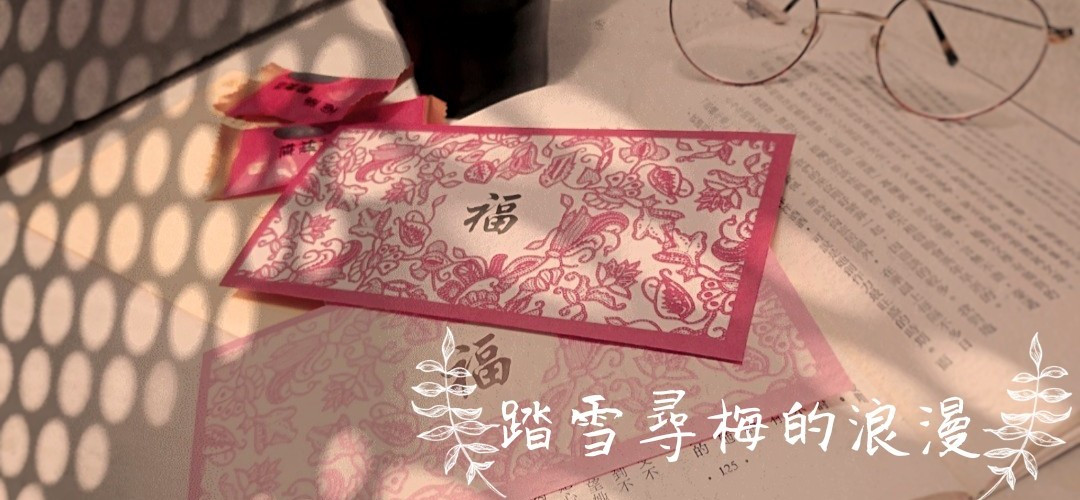 踏雪尋梅的浪漫🥞 的個人封面