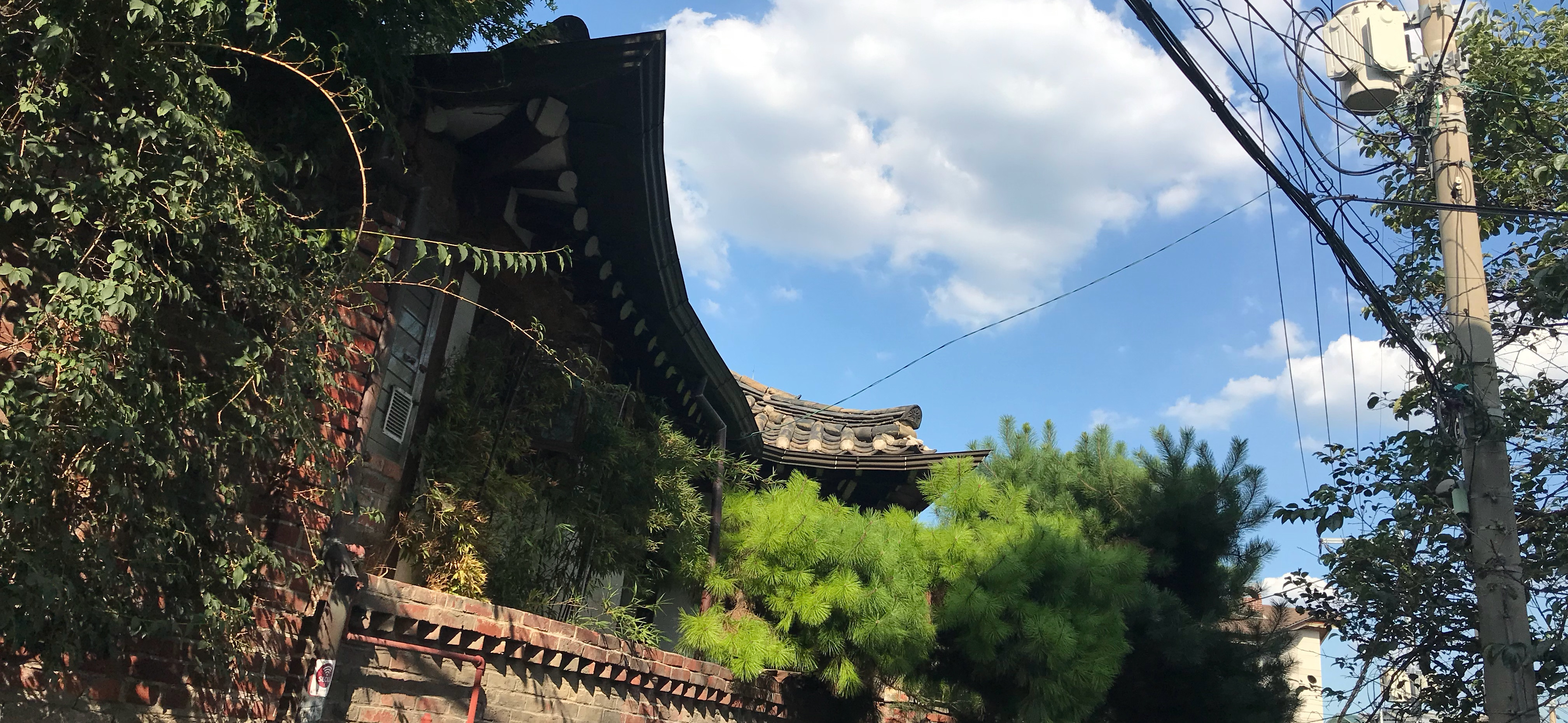 葦葦87師 的個人封面