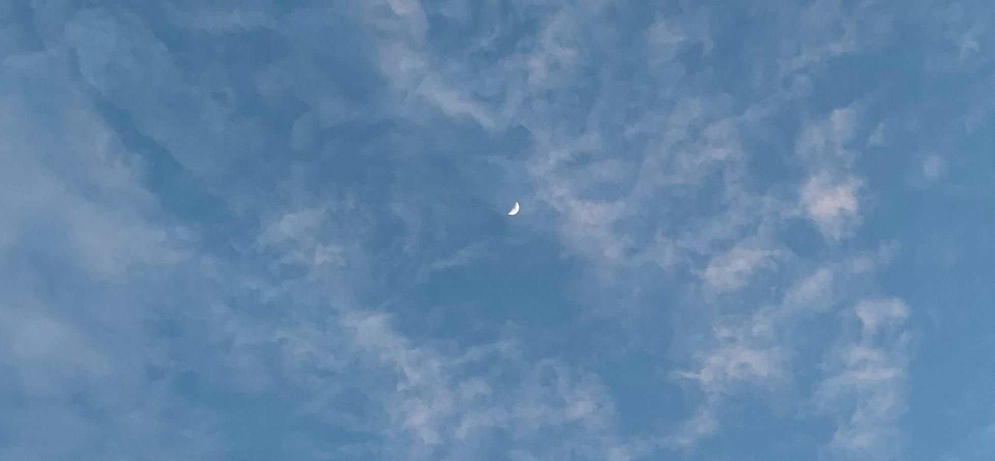 阿滋卡班甲魚 的個人封面