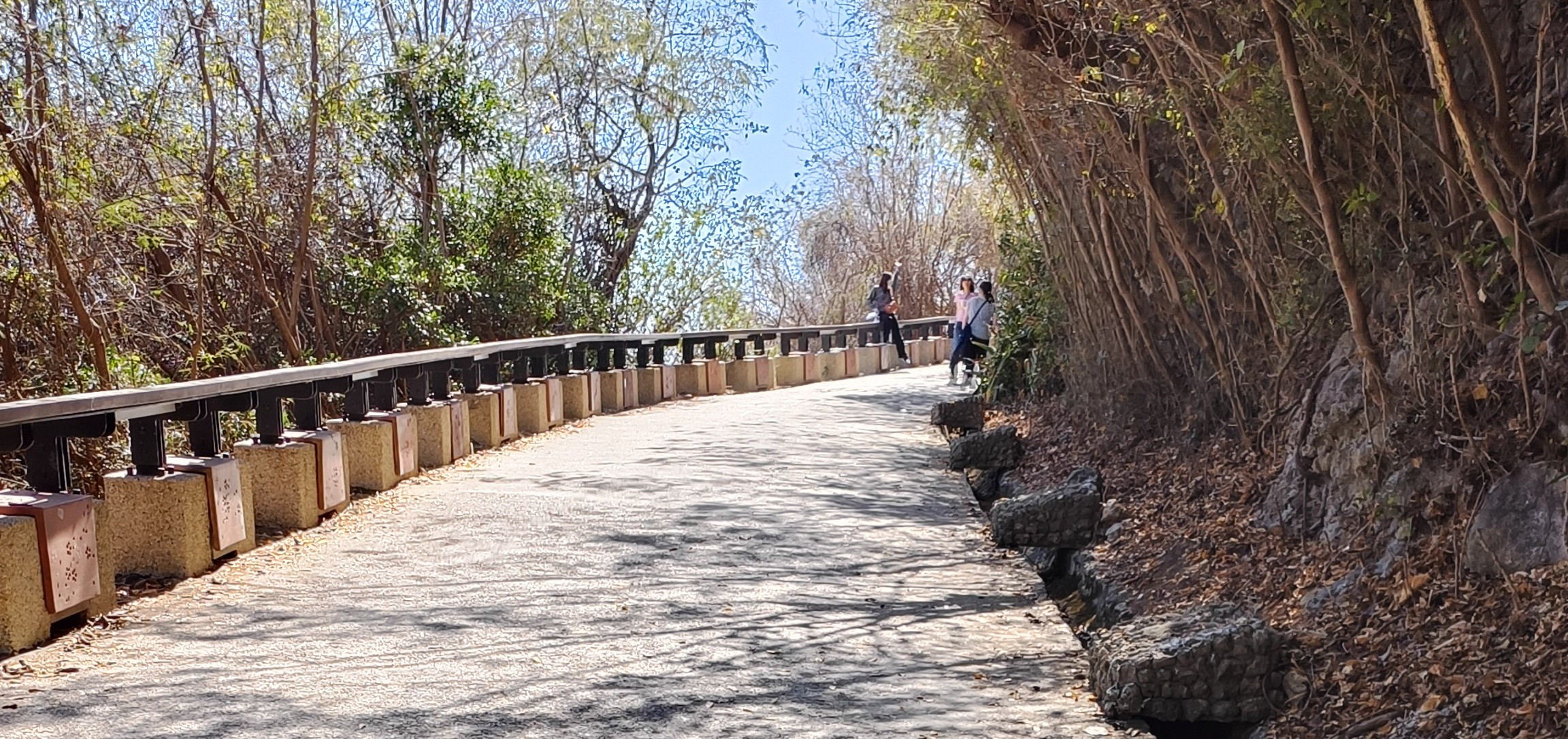 芝芝廚房 的個人封面