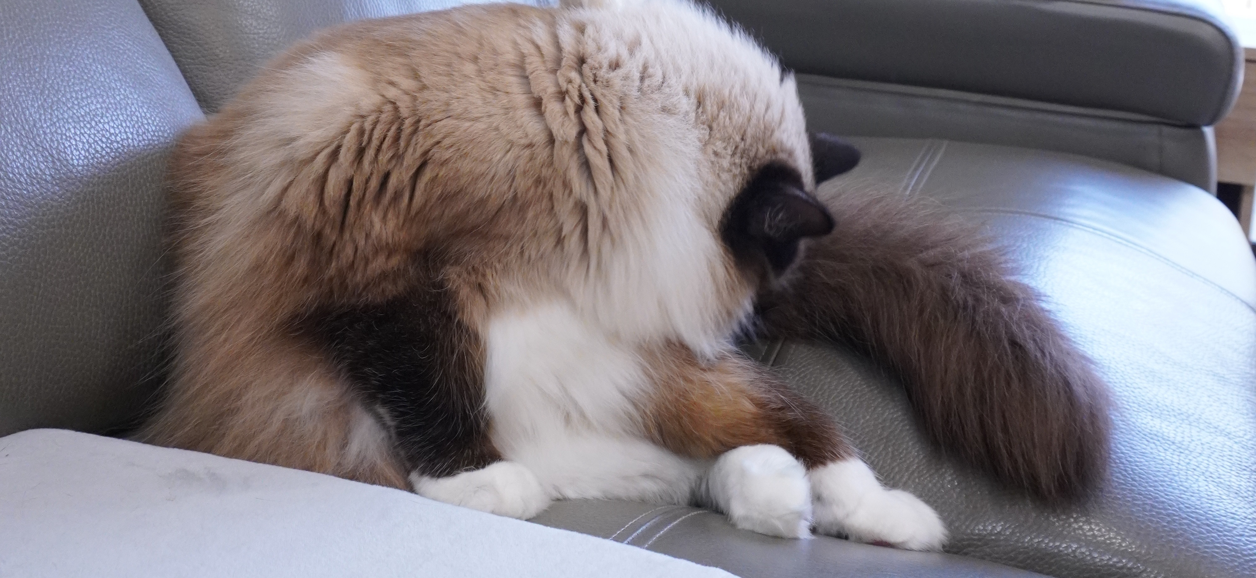 晚餐是家人團聚的時光 的個人封面