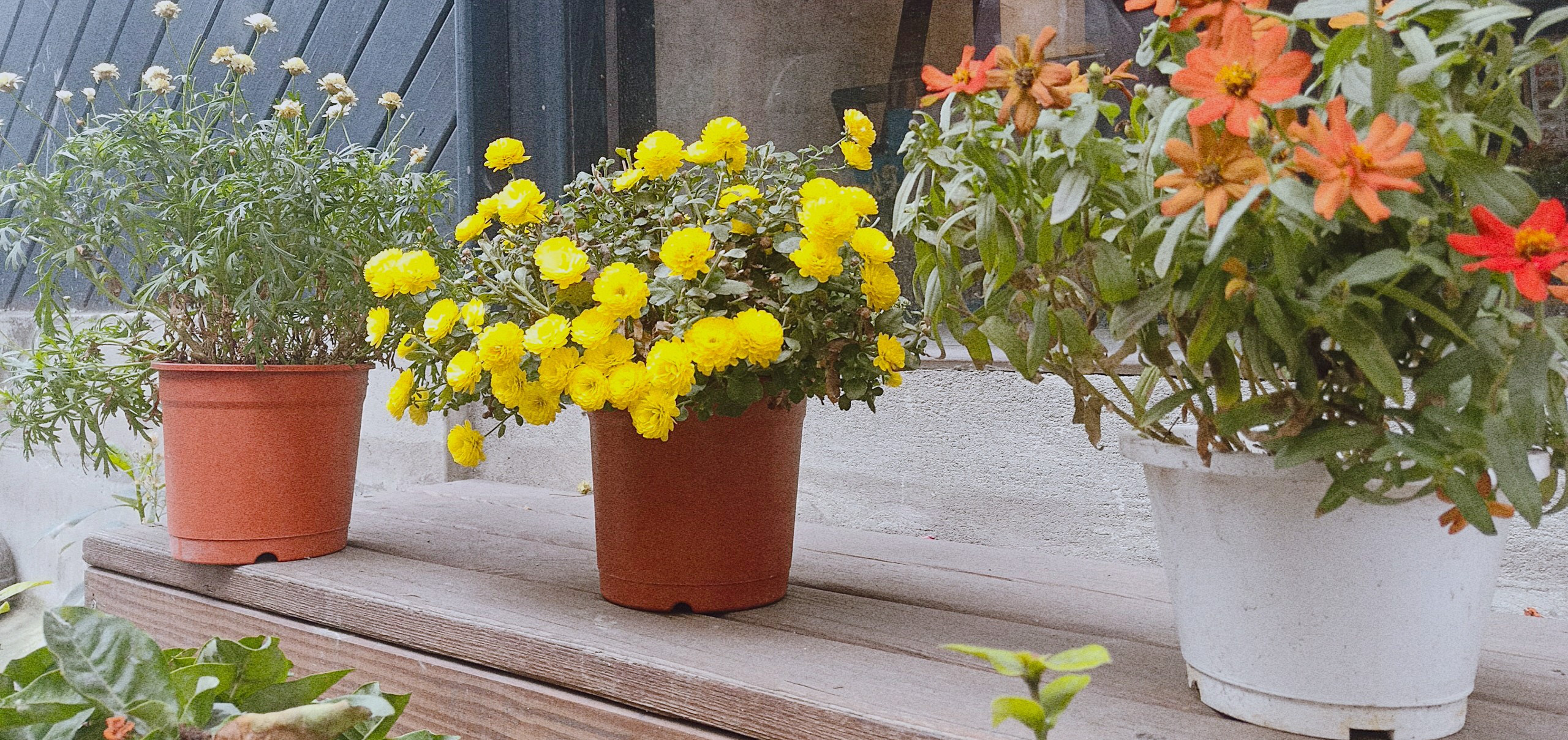 悠の料理空間🌼 的個人封面