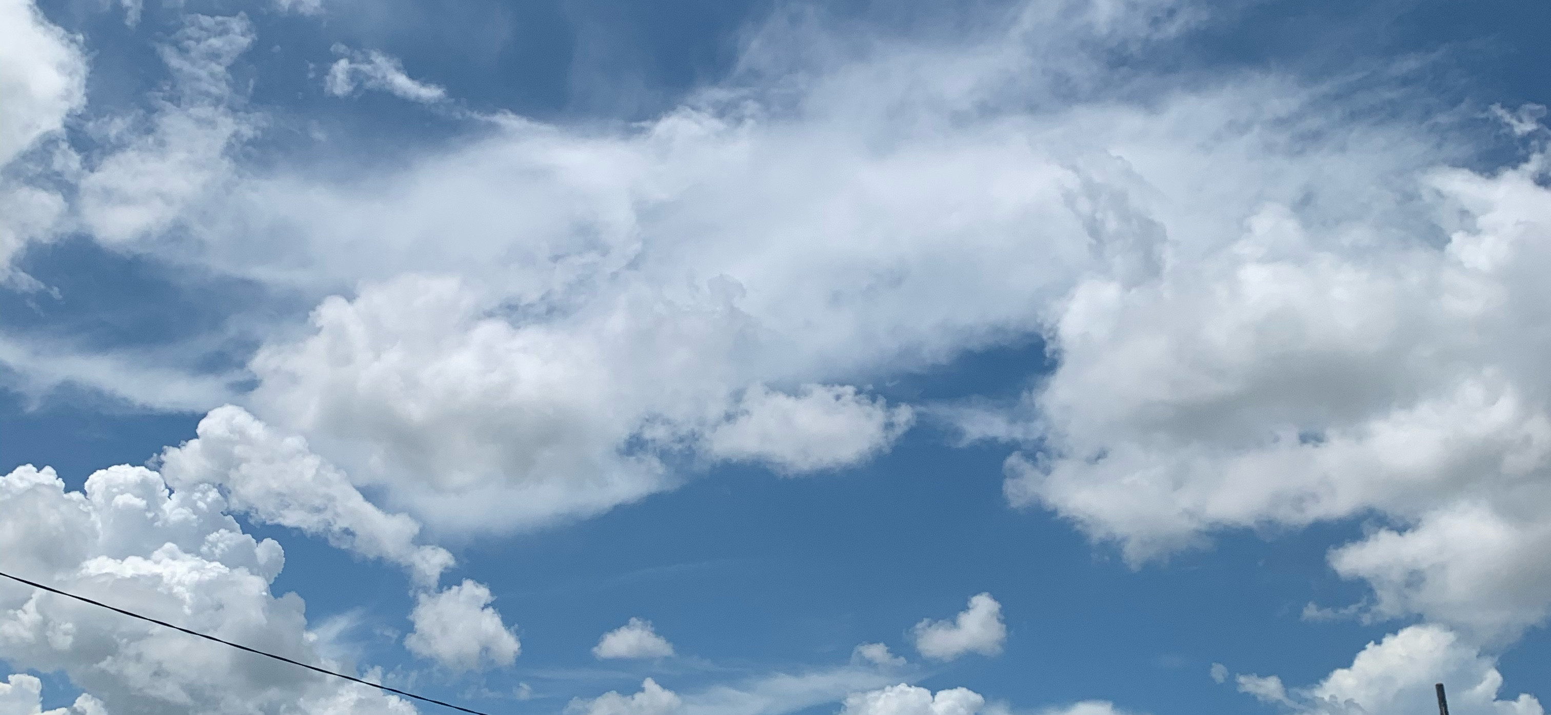 蓁🌸 的個人封面