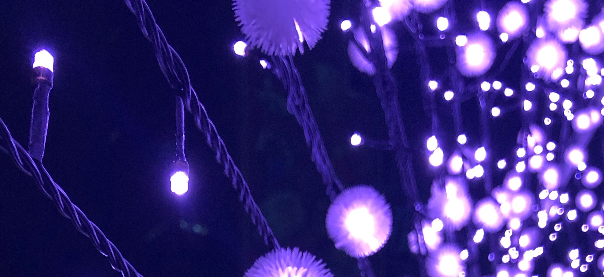 Stacy廚房 的個人封面