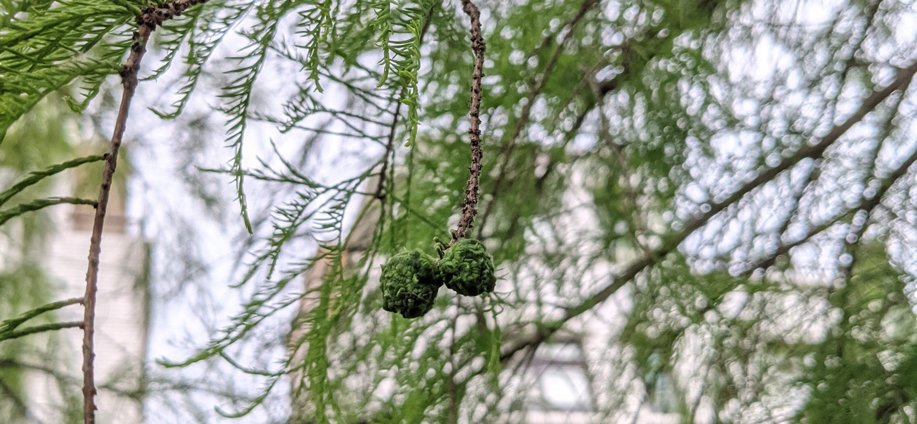 yenn.c 的個人封面