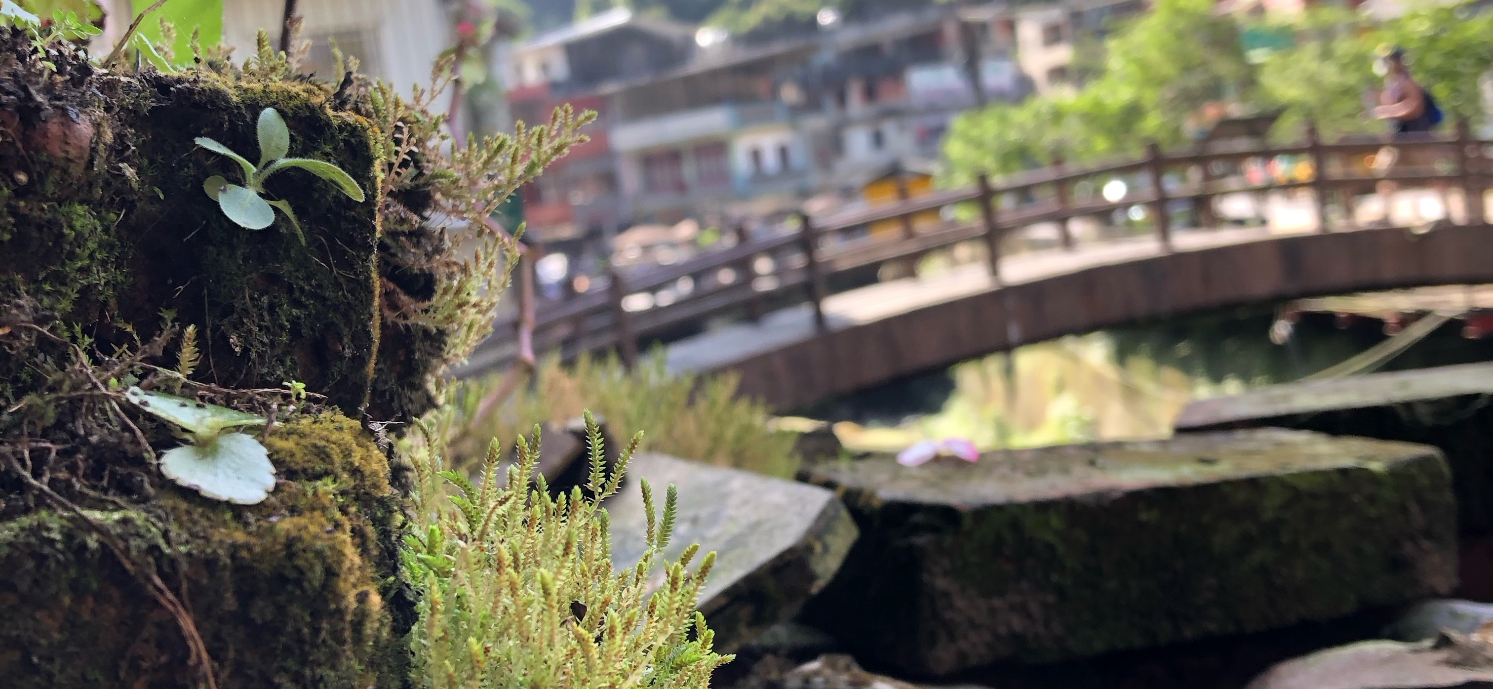 Mia 的個人封面