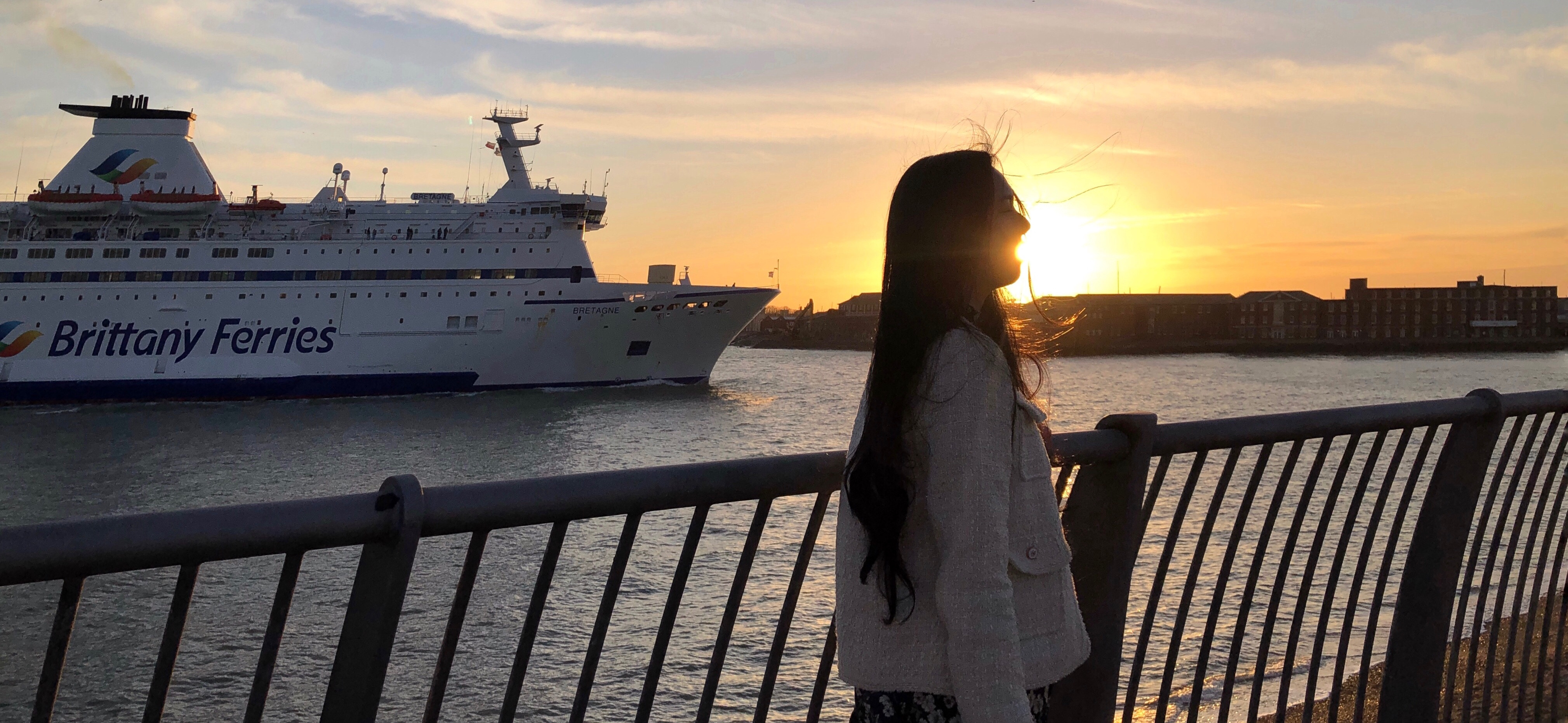 lily 的個人封面