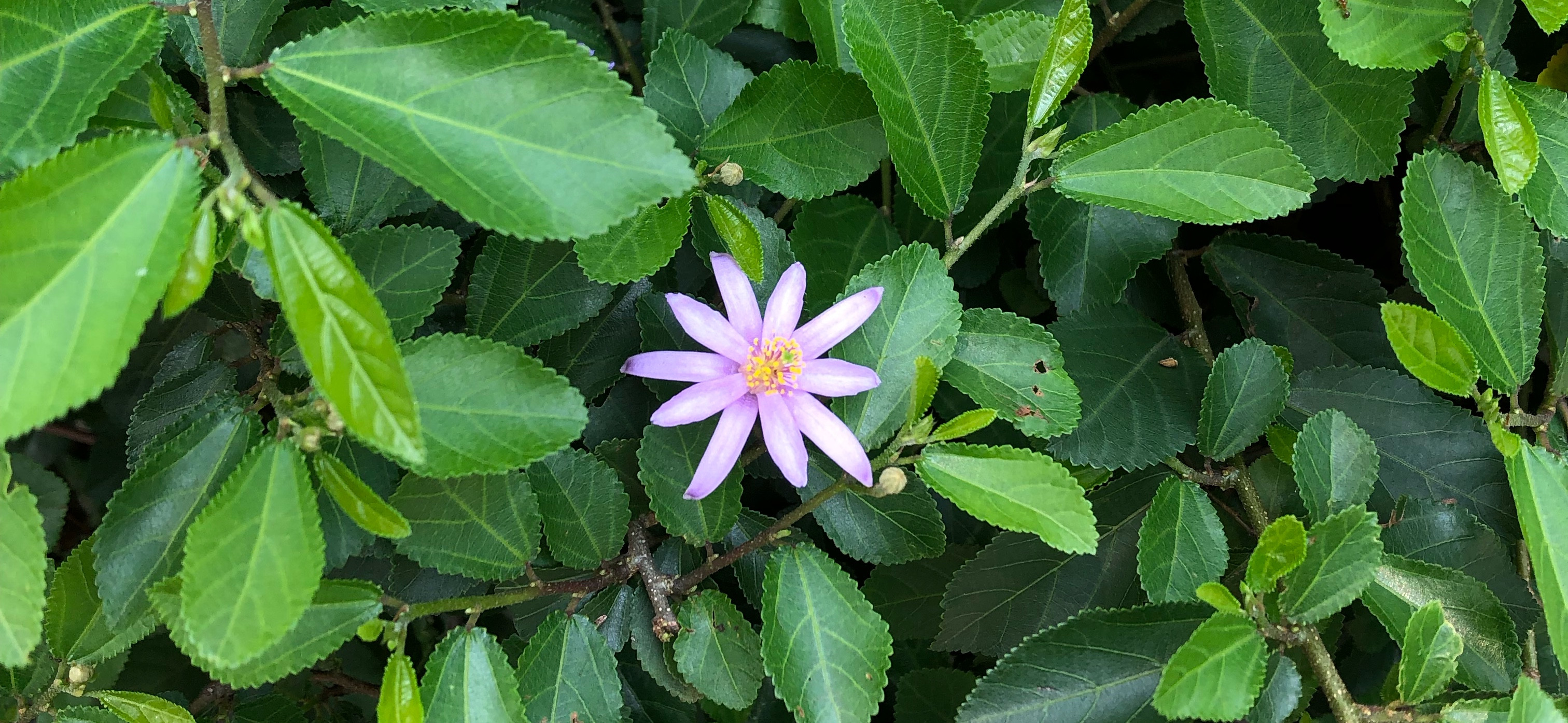 璇ㄦ 的個人封面