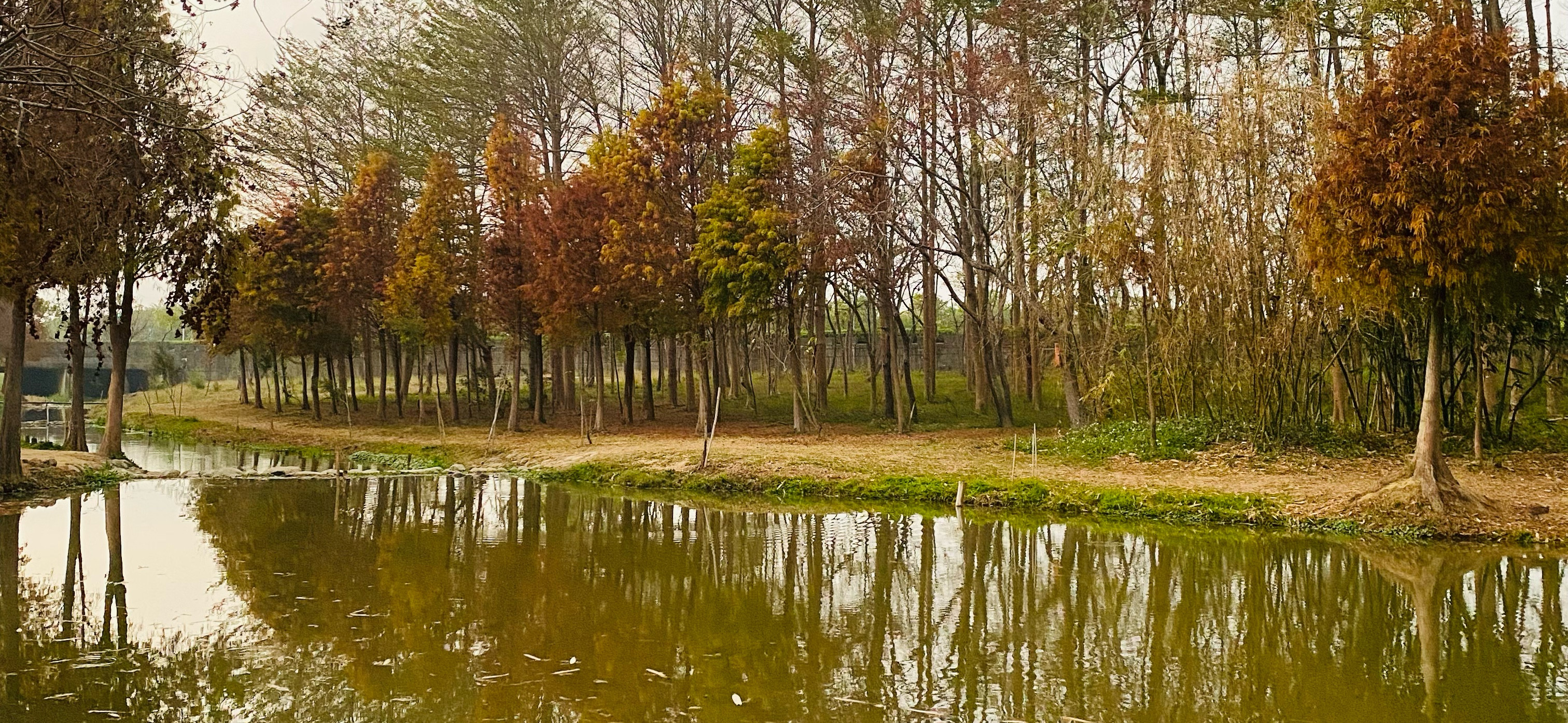 魚兒水中游 的個人封面