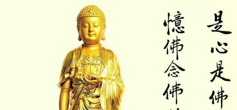 楊雅惠 的個人封面