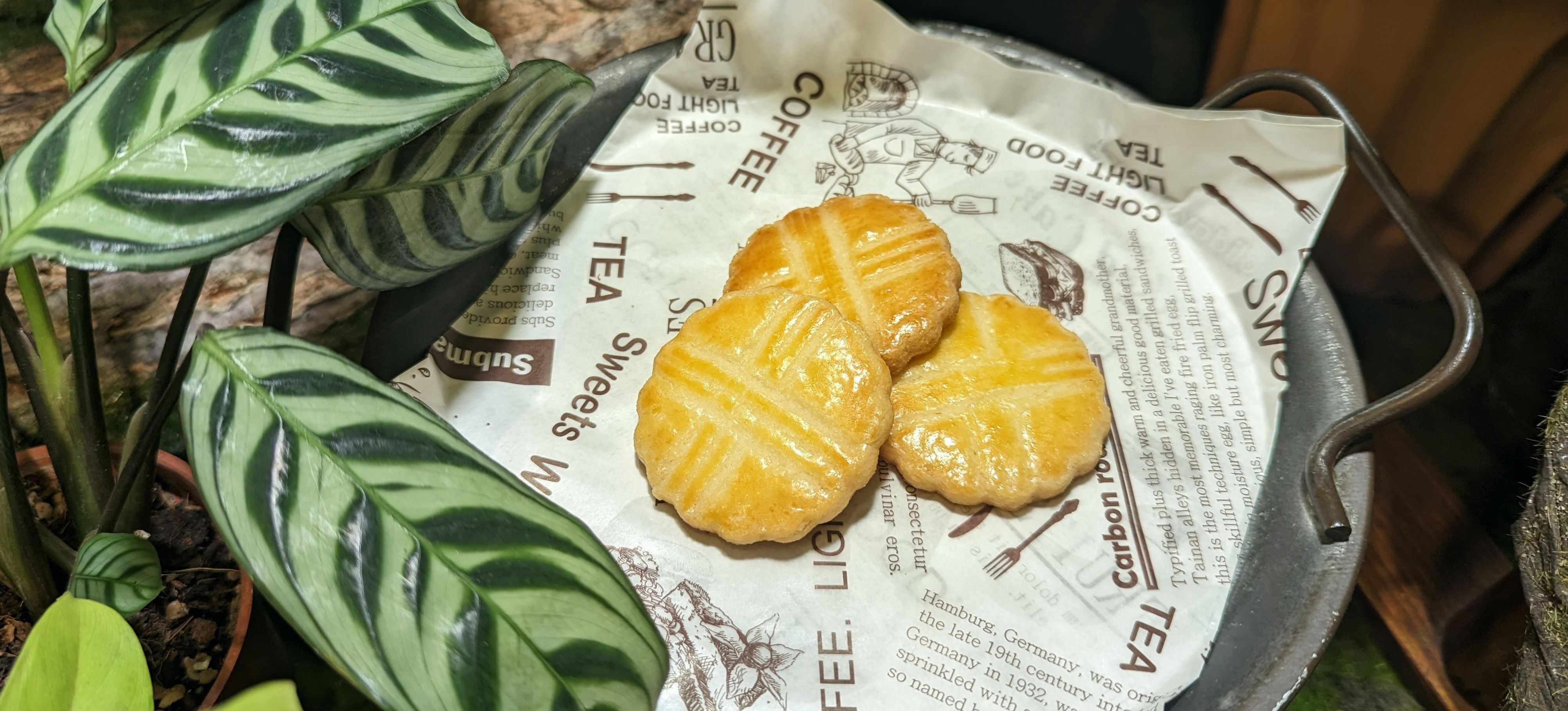 Webby Sweets薇比食藝 的個人封面
