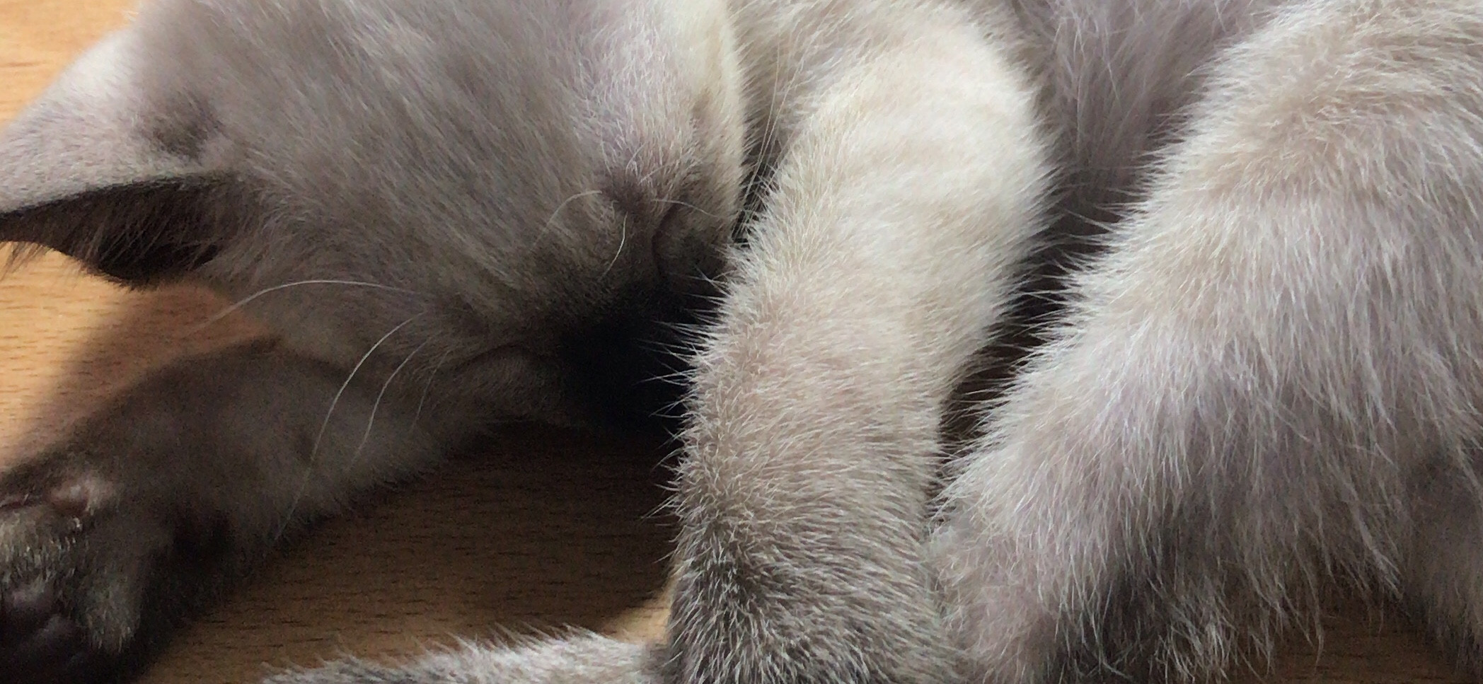 白 的個人封面
