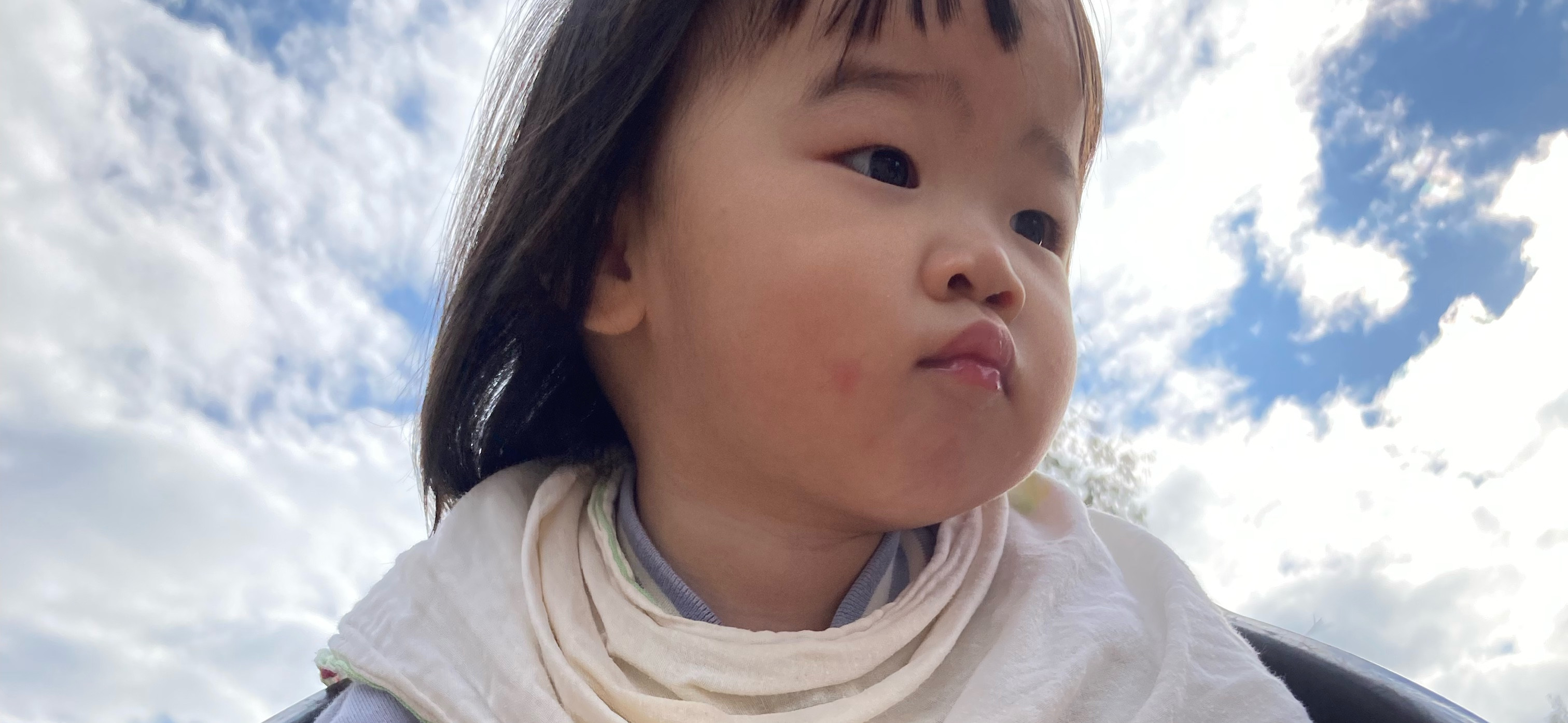 張包 的個人封面