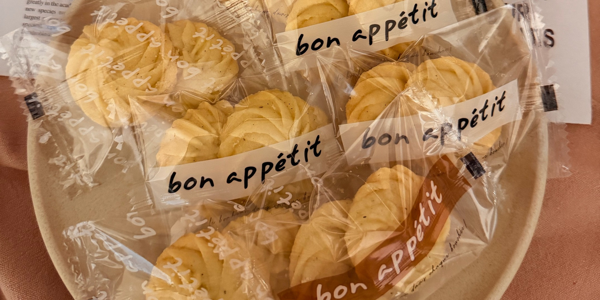 Elsa 的個人封面