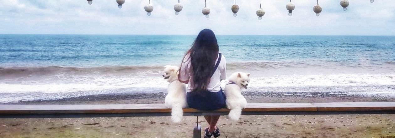 思婷 的個人封面