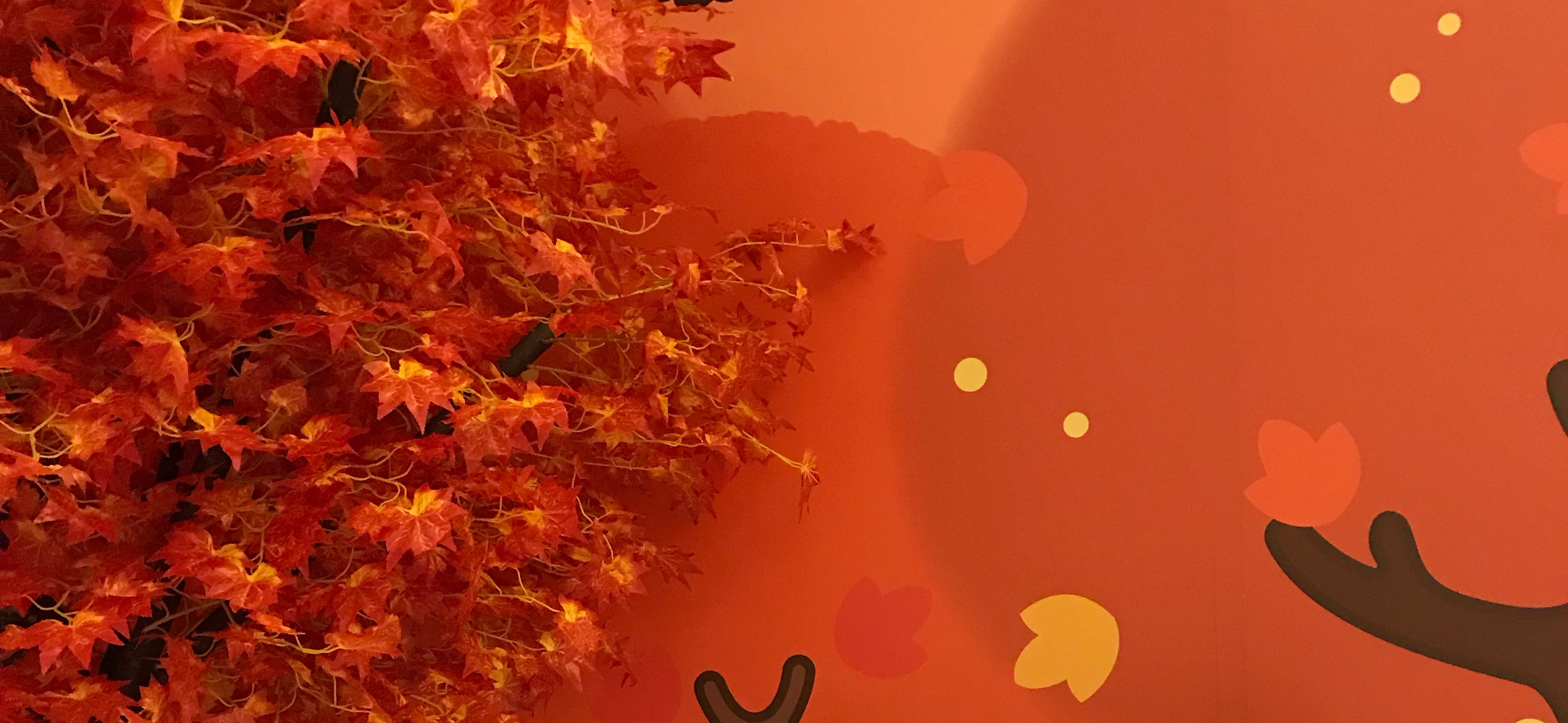 🍭炸蝦的美食星空 的個人封面