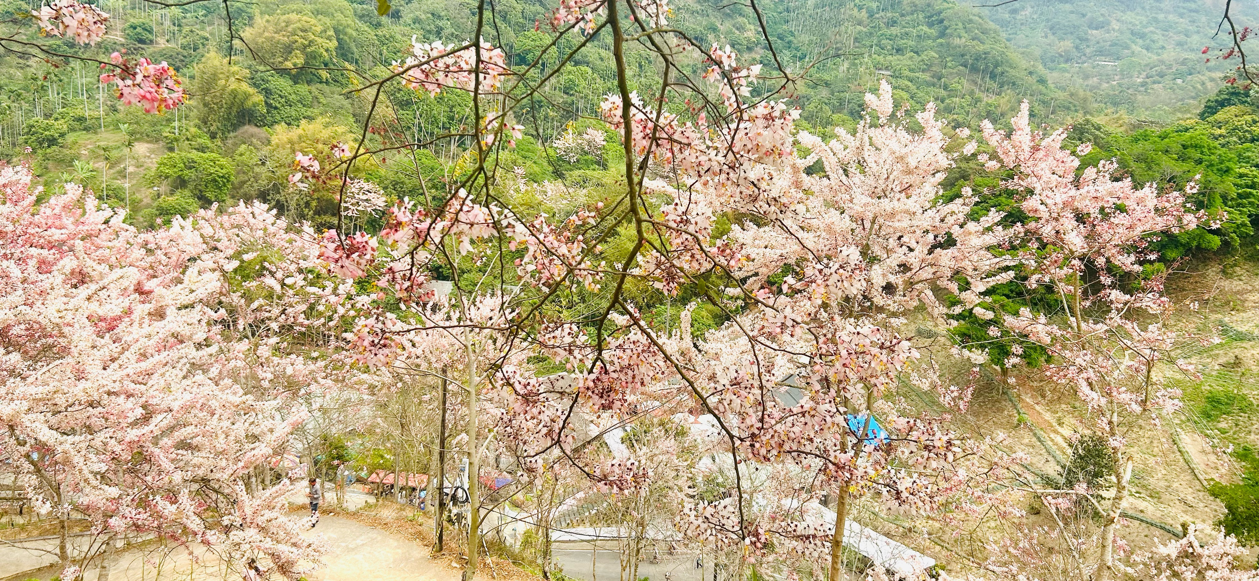 小均 的個人封面