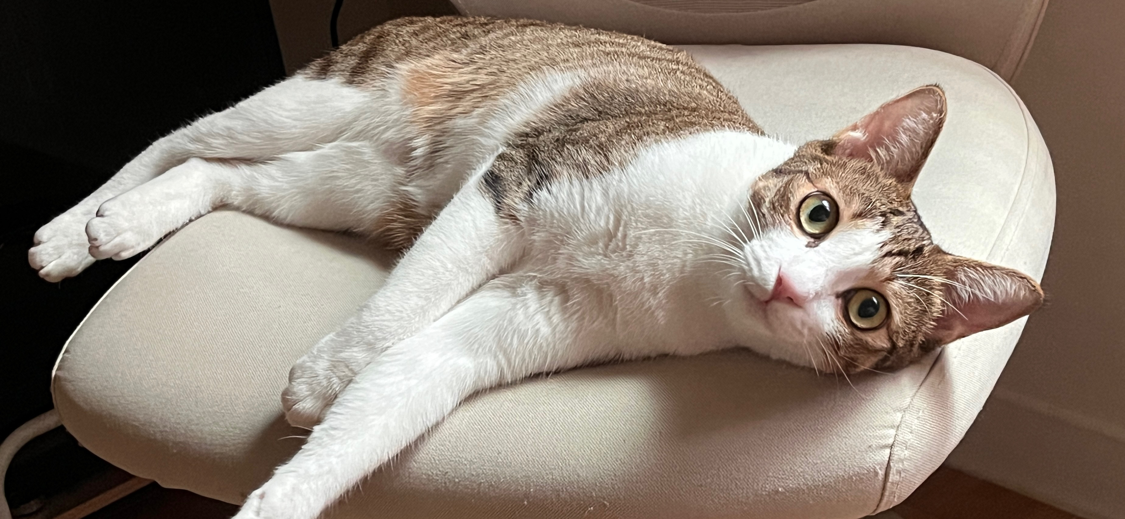 Emma 的個人封面