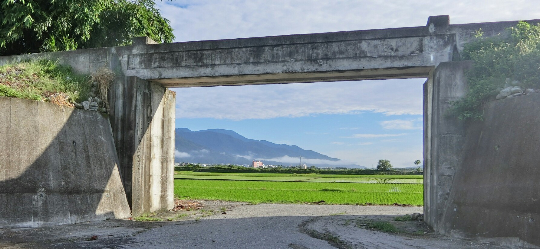 Shu-ting料理小天地 的個人封面
